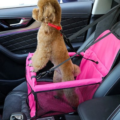 Siège Auto pour Chien | DogTravel - ROYAUME AUTOMOBILE